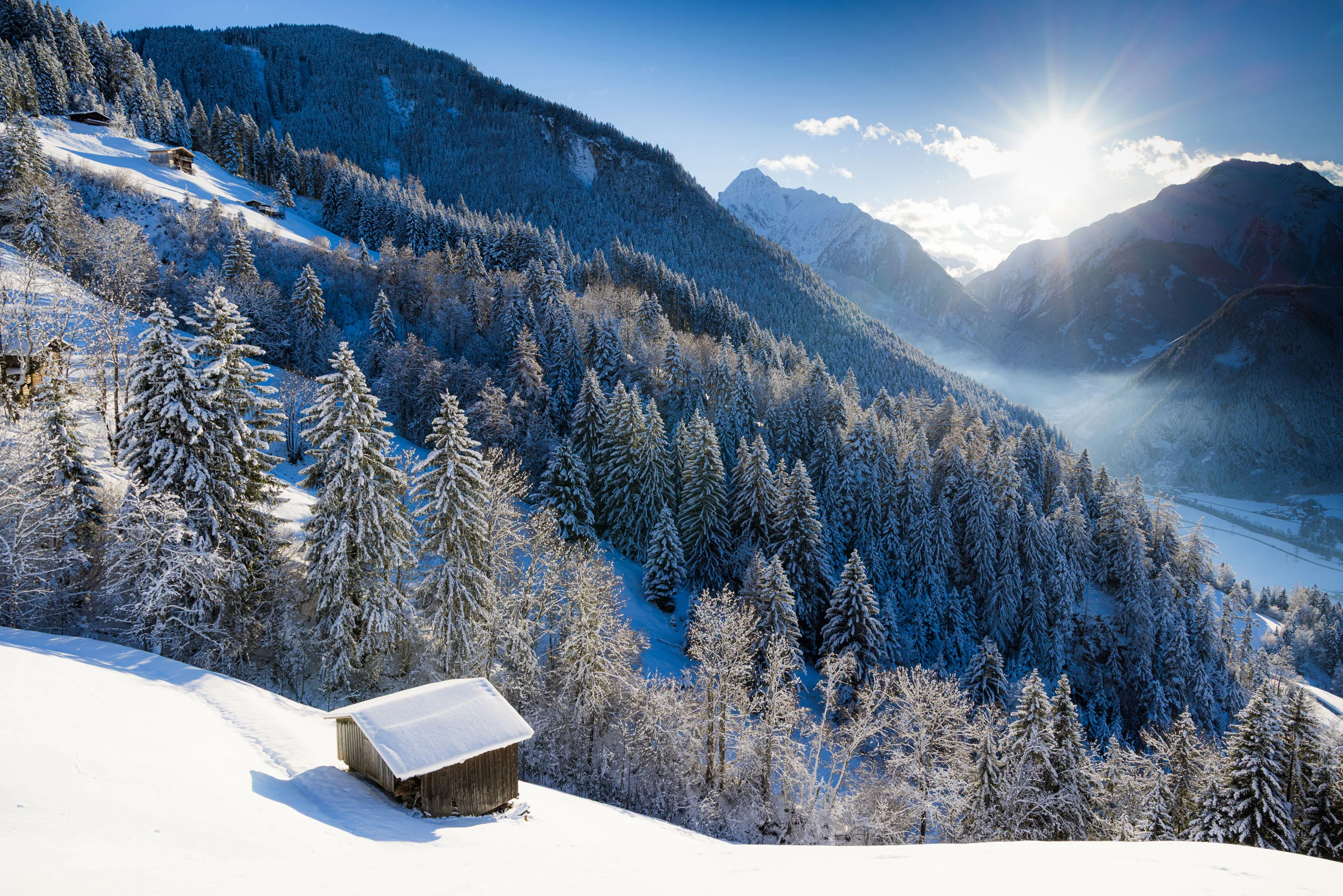 Bildergalerie des Aparthotel Stacherhof in Fügen