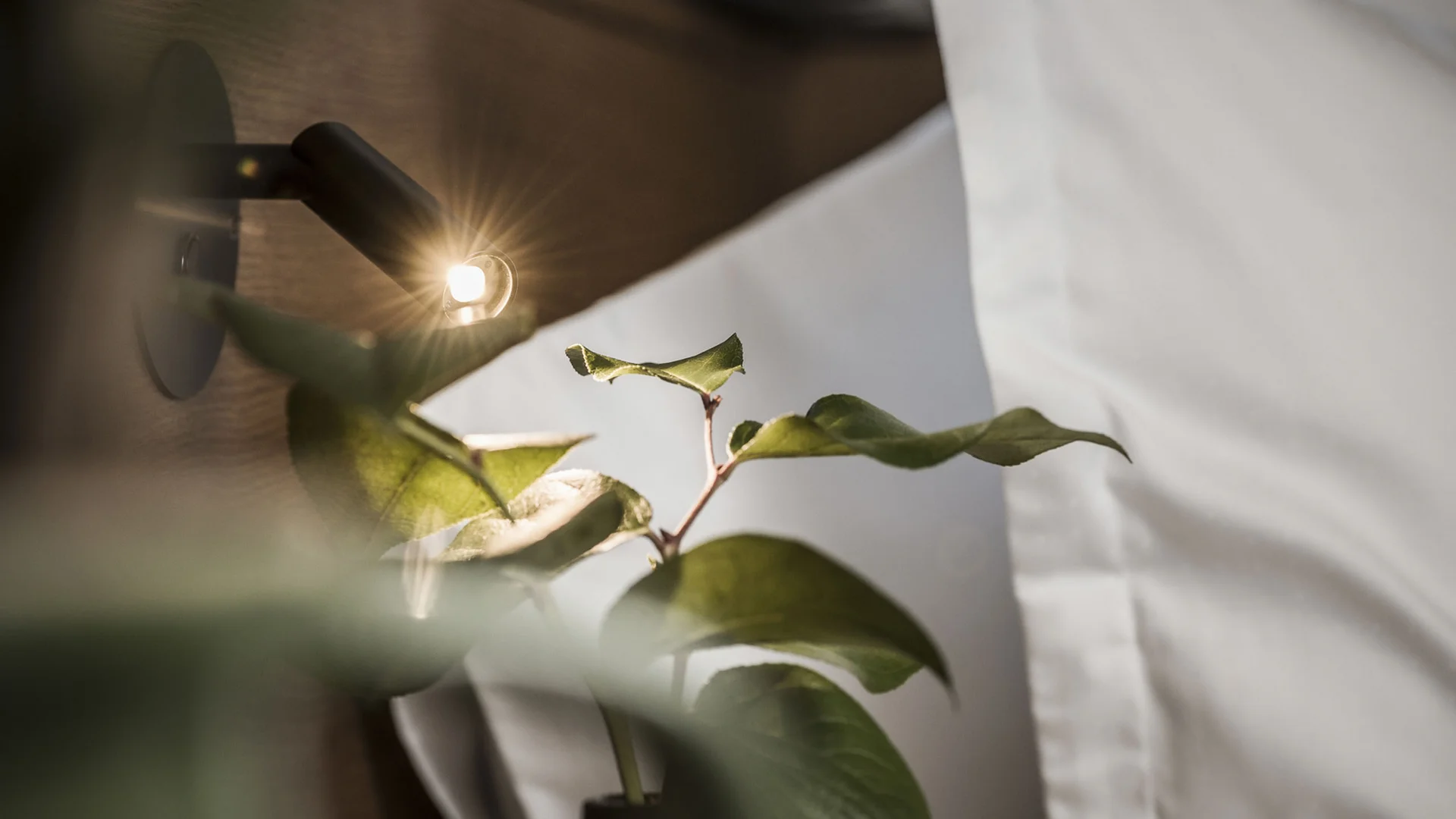 Euer Aparthotel im Zillertal – der Stacherhof