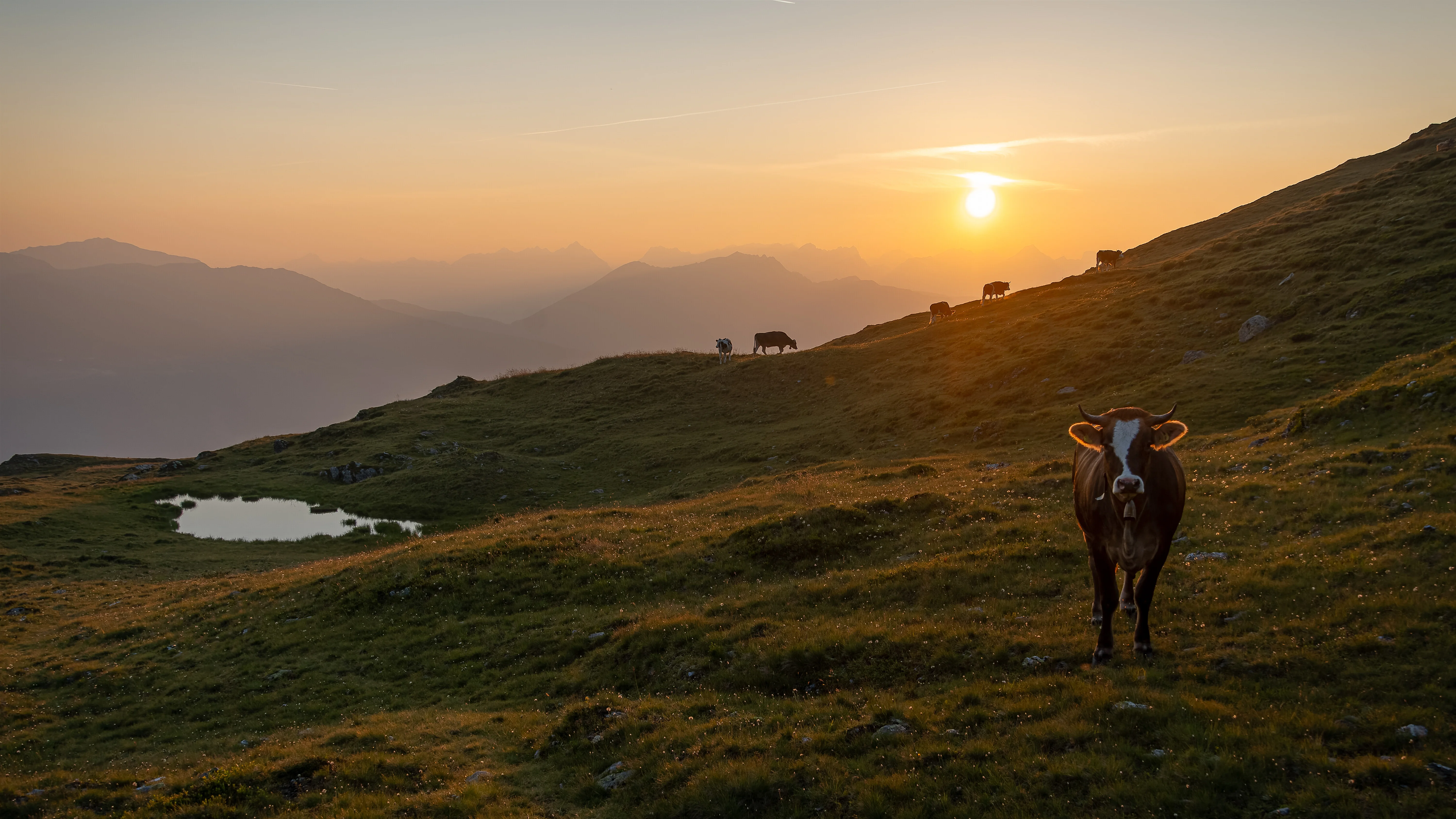 Bildergalerie des Aparthotel Stacherhof in Fügen