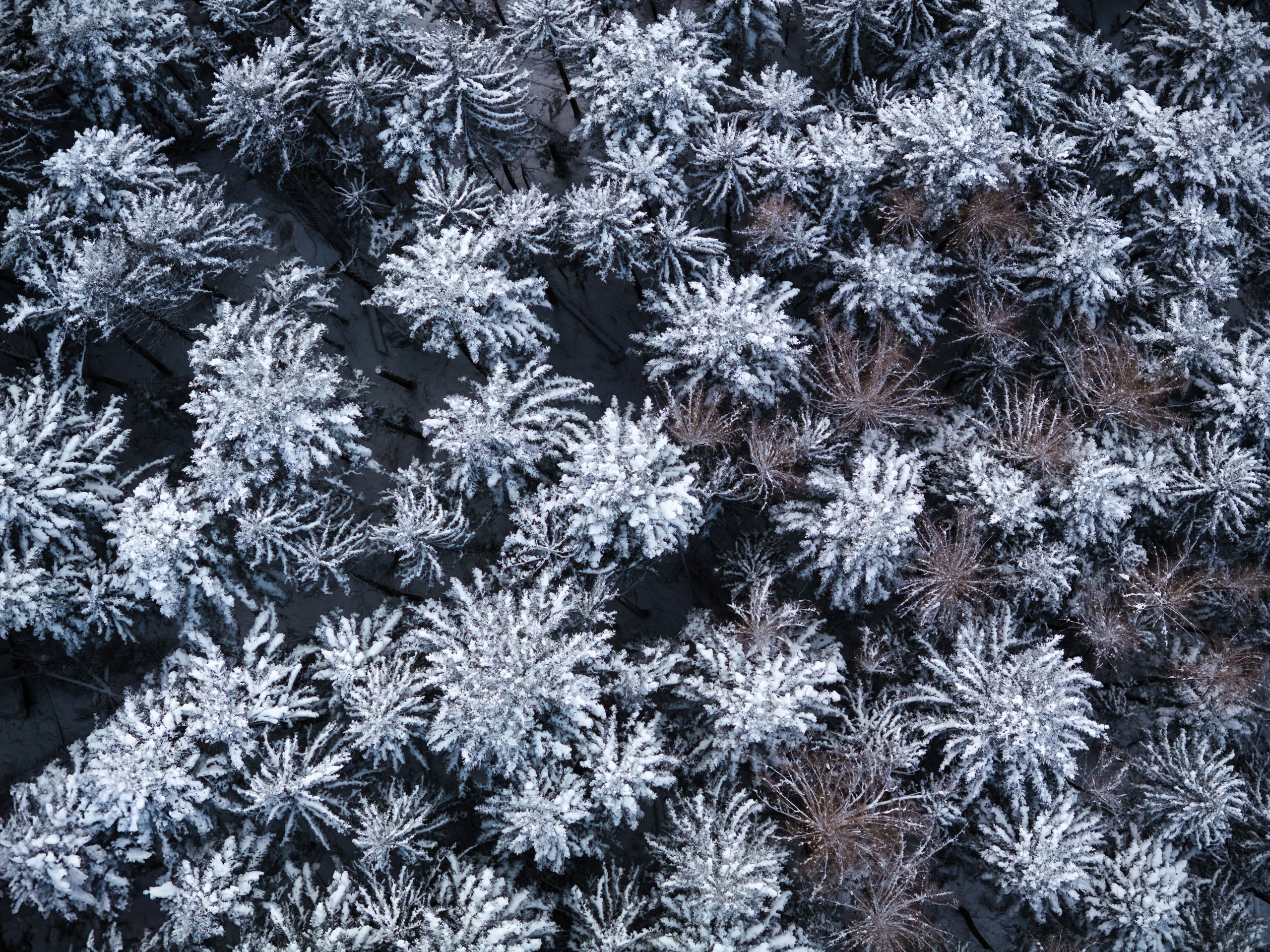 Bildergalerie des Aparthotel Stacherhof in Fügen