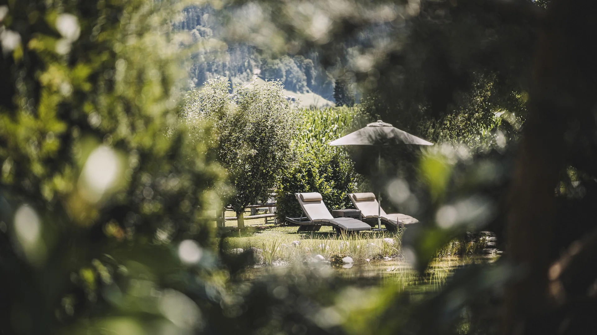 Euer Aparthotel im Zillertal – der Stacherhof
