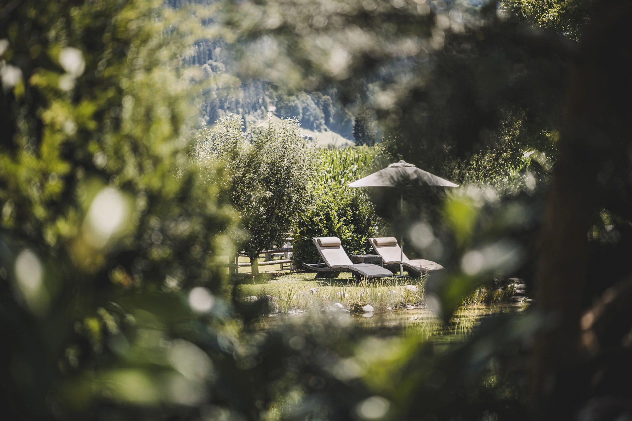 Der Stacherhof, Familie Koch und das Aparthotel-Konzept