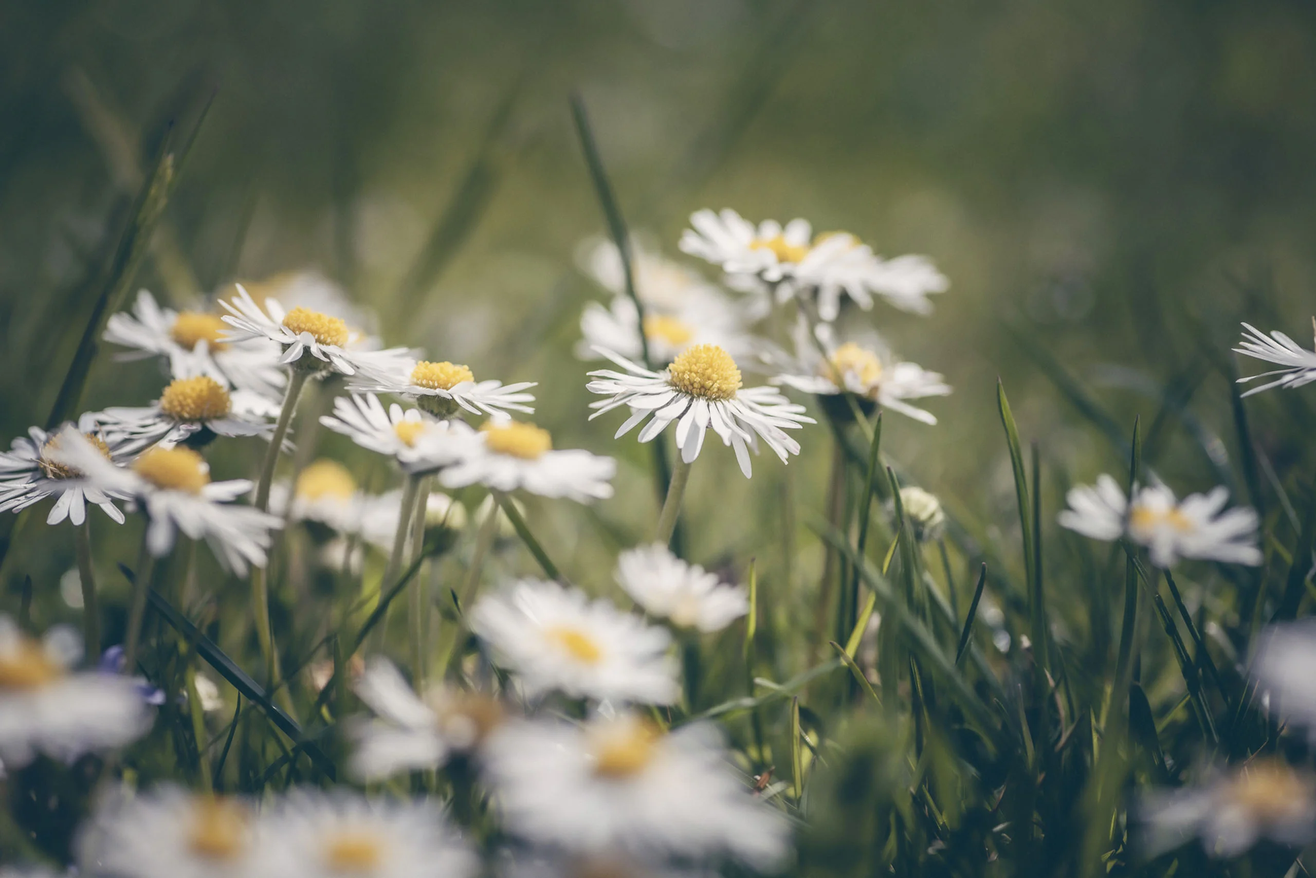 Bildergalerie des Aparthotel Stacherhof in Fügen