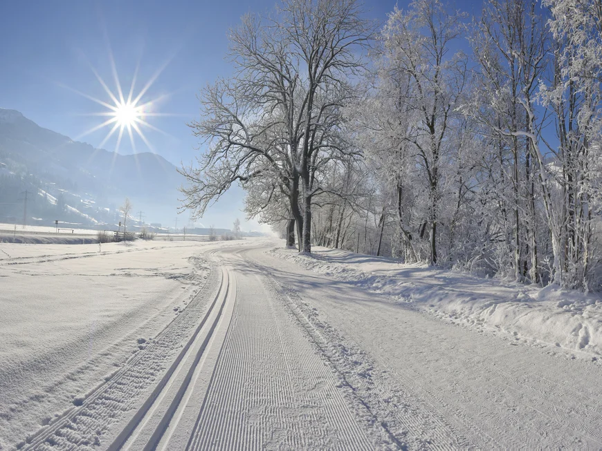 Aparthotel Stacherhof | Euer Skihotel im Zillertal