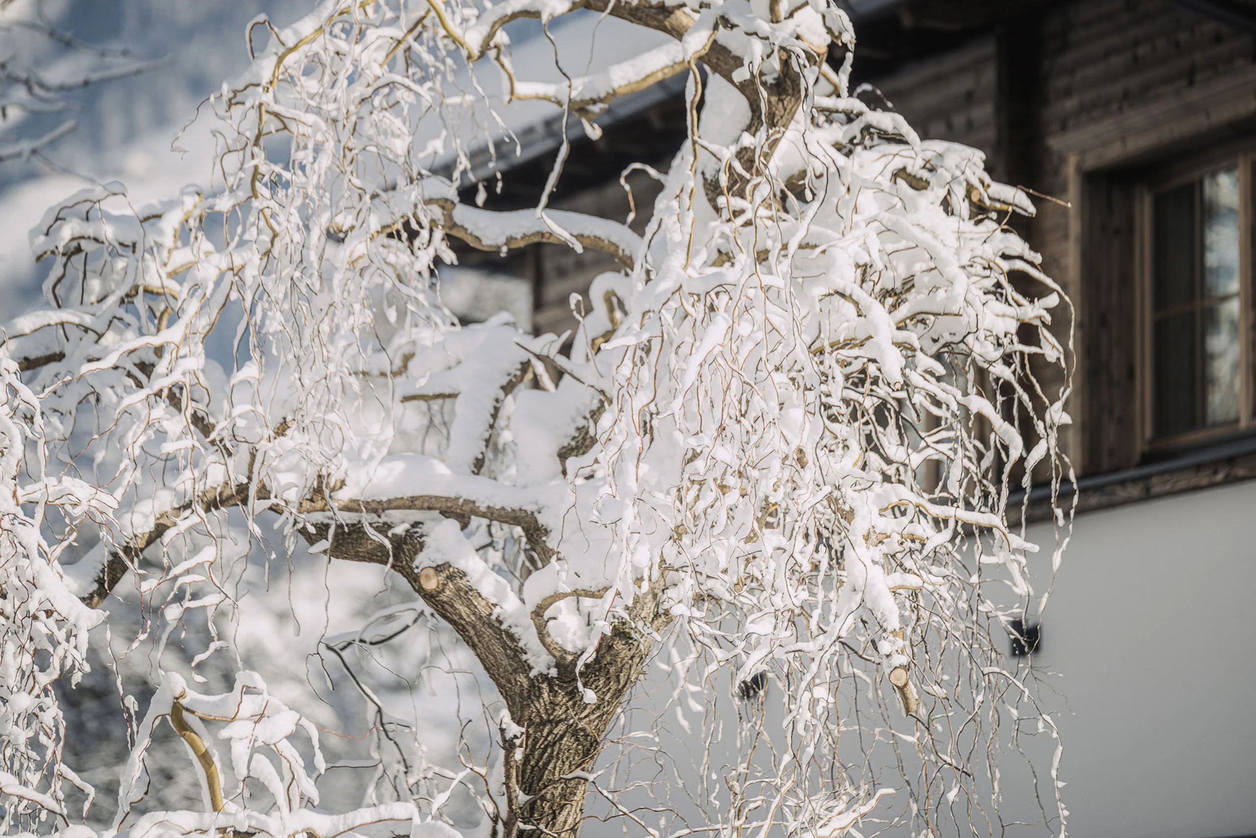 Bildergalerie des Aparthotel Stacherhof in Fügen