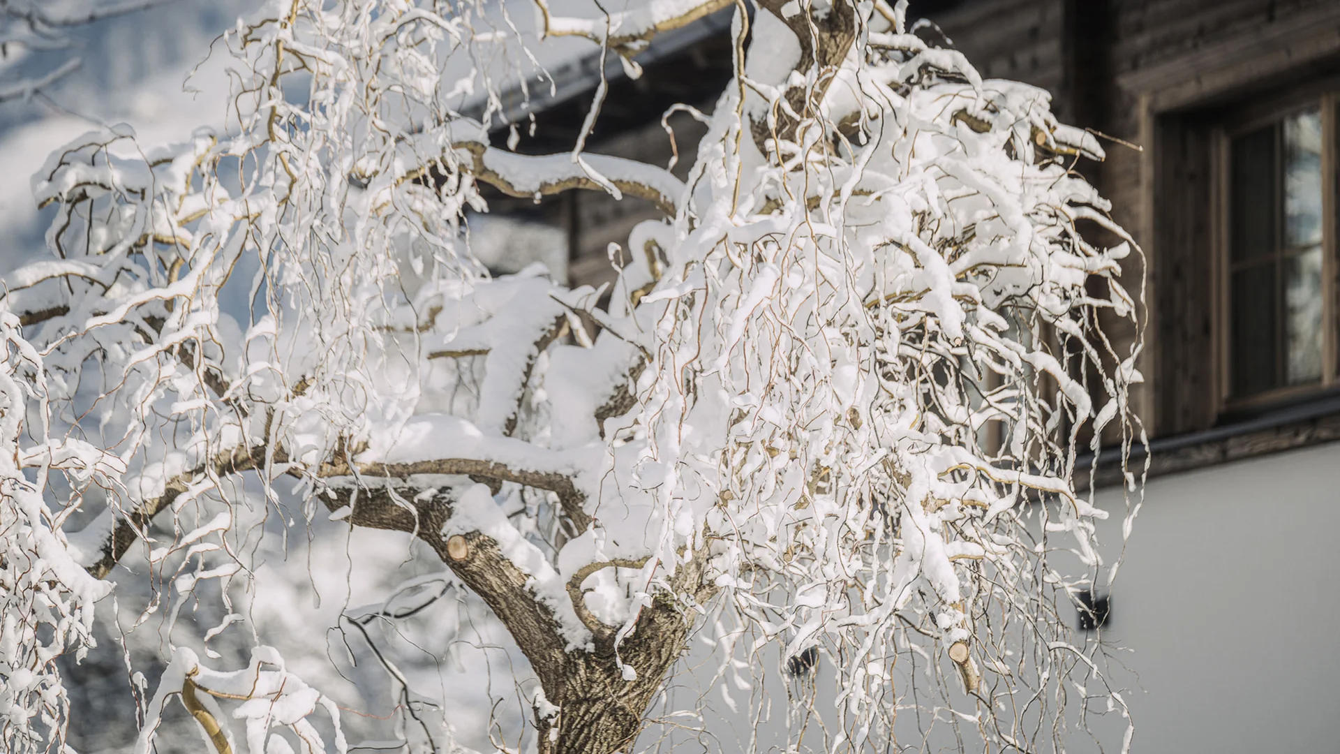 Euer Aparthotel im Zillertal – der Stacherhof